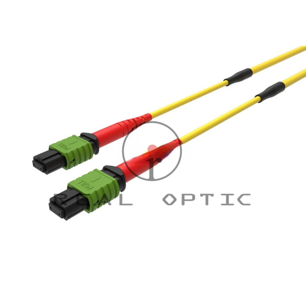 TRONCALES MTP/MPO 24