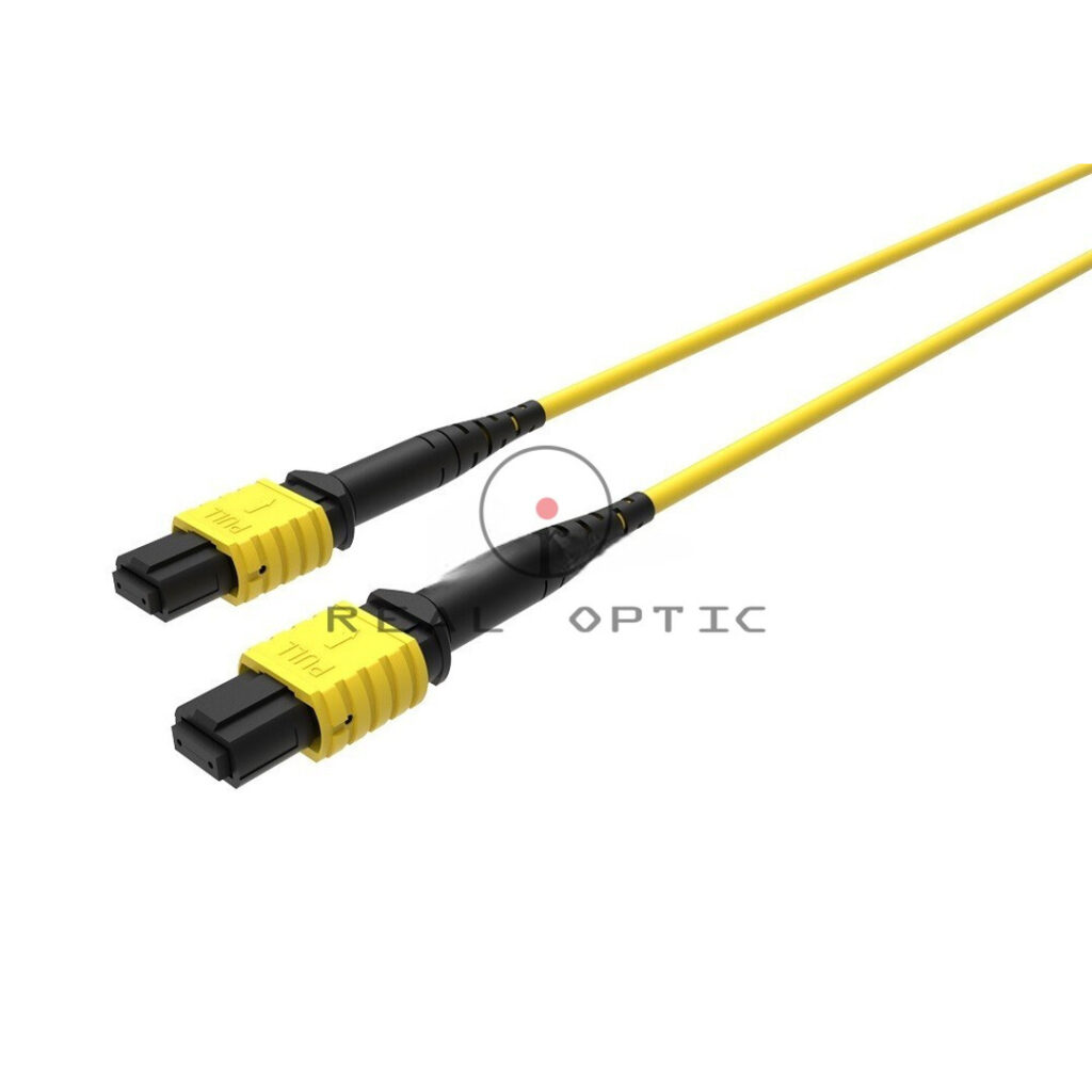 TRONCALES MTP/MPO 12